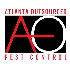 Atlanta Outsourced Service Professionals